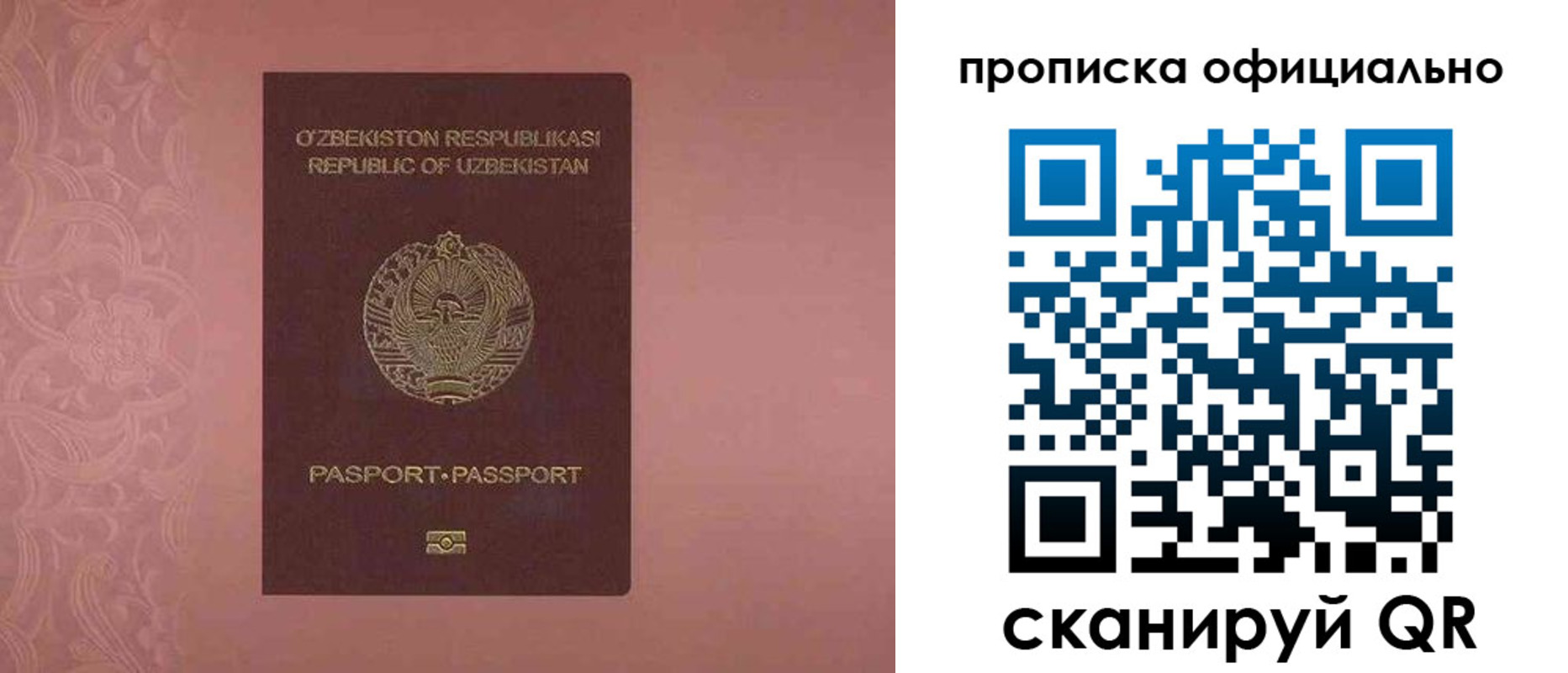 прописка гарантия в Кандалакше